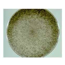 > </div>
<div class=